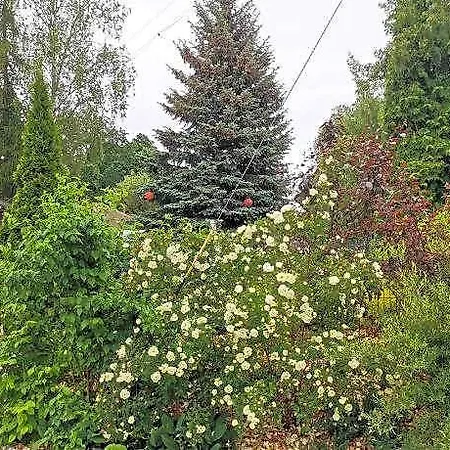 R9